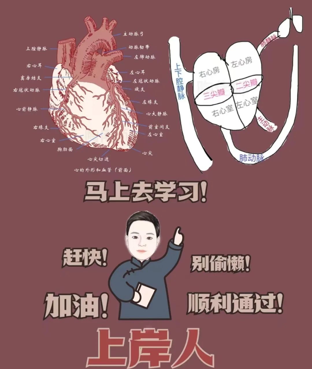 cc4d40519da9a26c4f776db6d70b41c.jpg